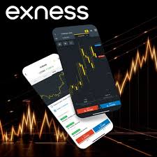 أي دولة تستخدم إكسنس أكثر من غيرها؟